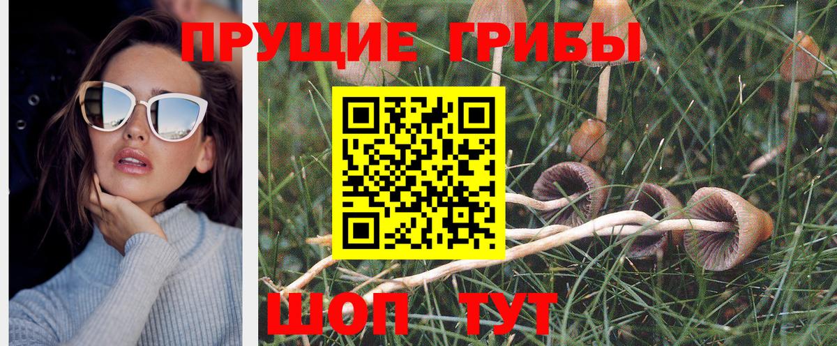 Псилоцибиновые грибы MAGIC MUSHROOMS Новороссийск