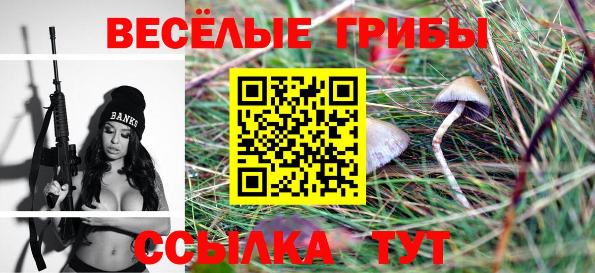 Новороссийск  Галлюциногенные грибы Psilocybe  Вход с VPN  Псилоцибиновые грибы мицелий 